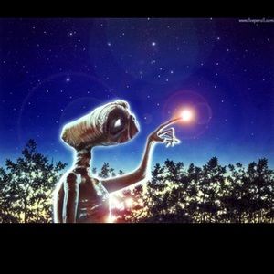 Meet your Posher, Teddy